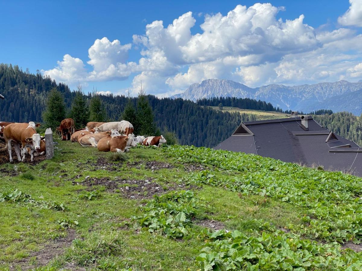 The Mountain Home Hermagor-Pressegger See Exterior photo